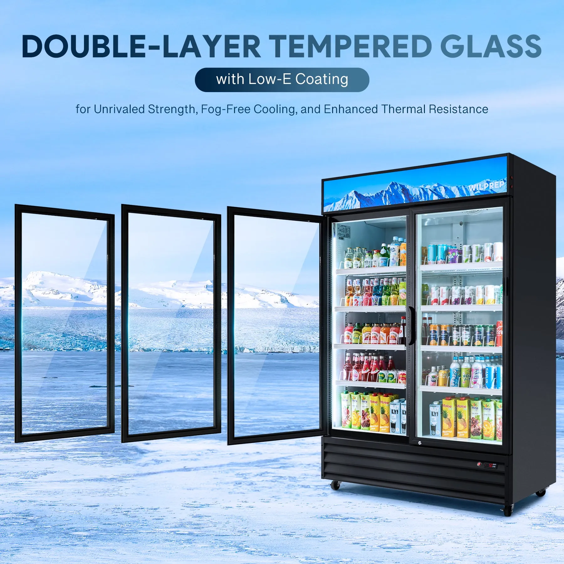 52.4" Commercial Merchandiser Refrigerator Two Swing Door  40 cu. ft. Capacity