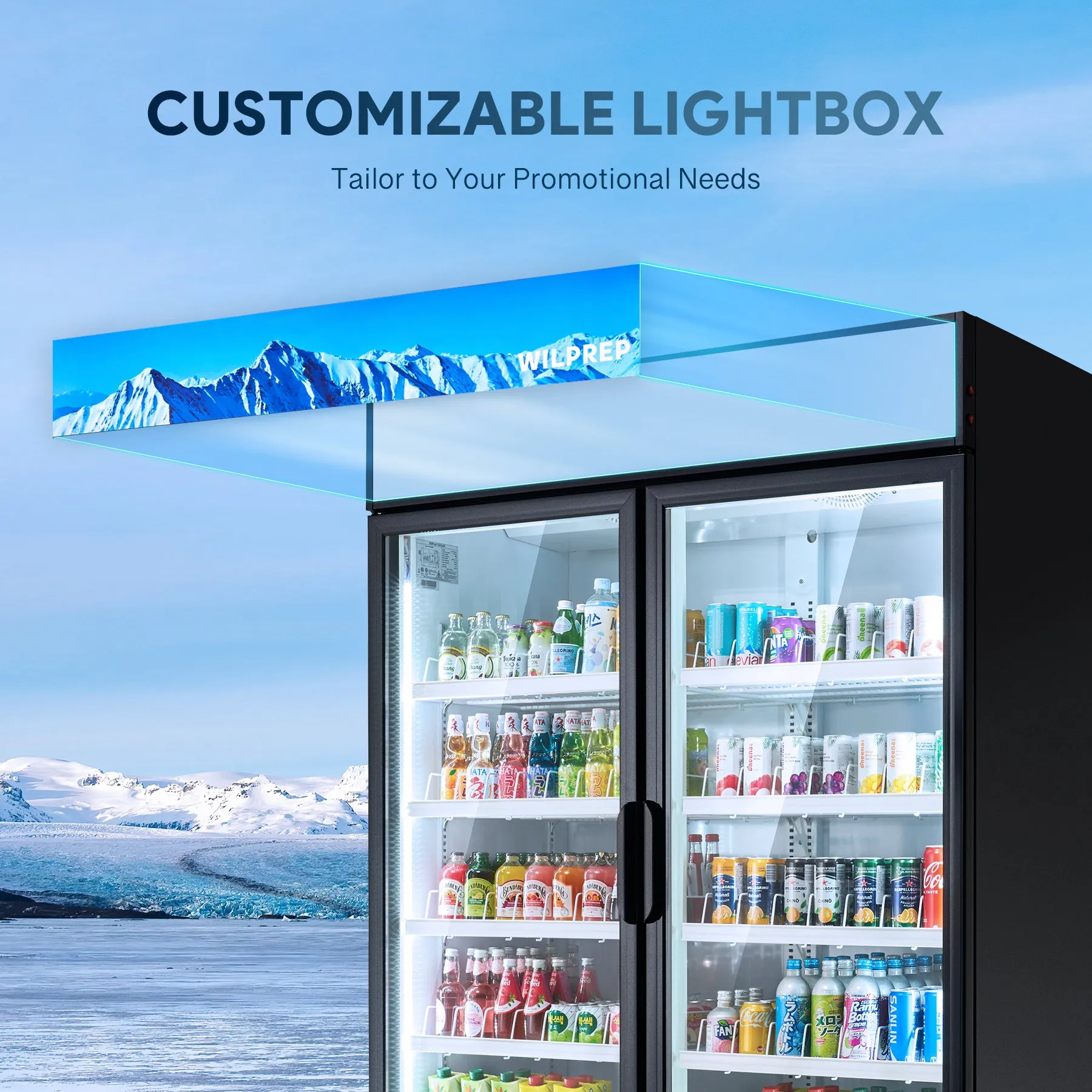 52.4" Commercial Merchandiser Refrigerator Two Swing Door  40 cu. ft. Capacity