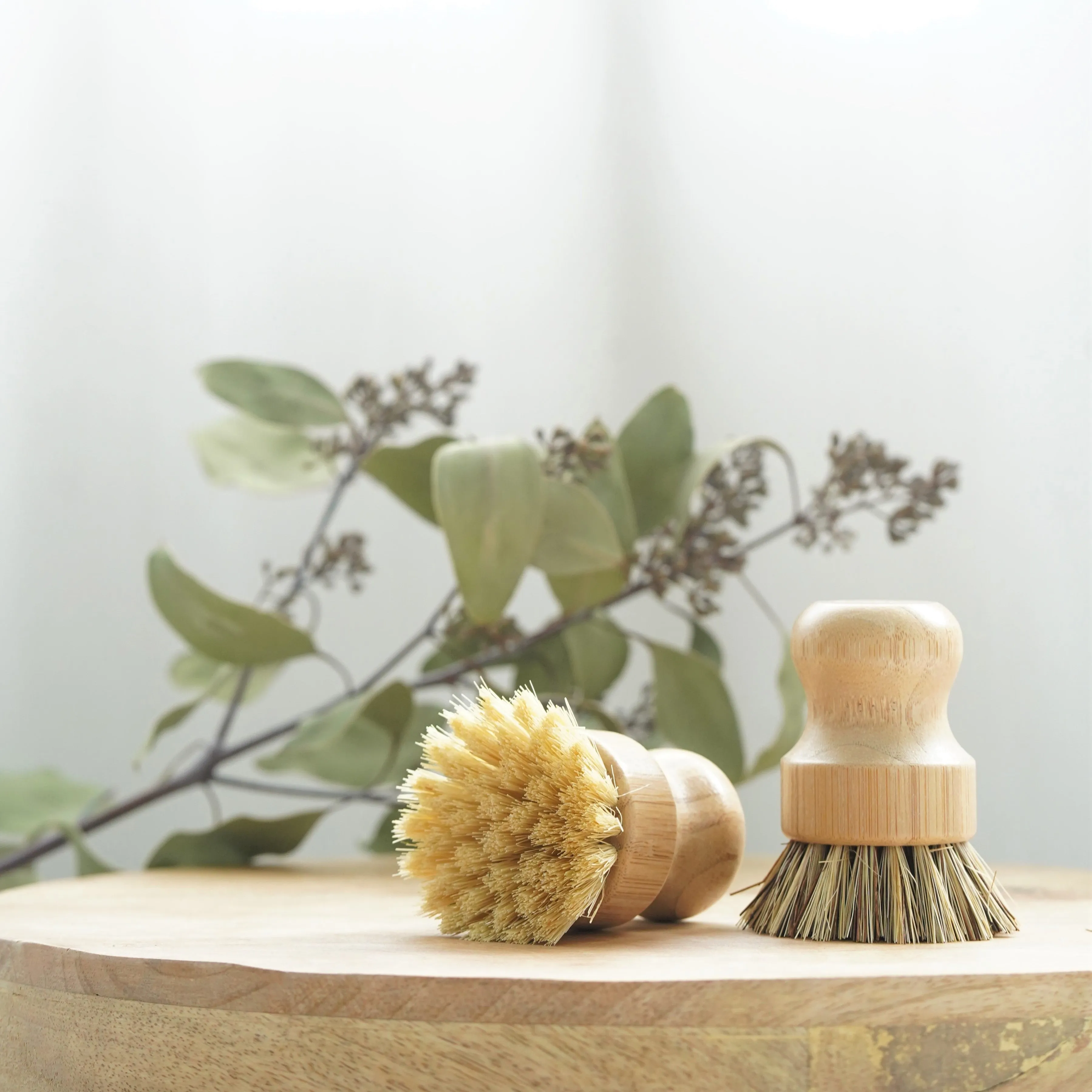 Eco Friendly Bamboo Cleaning Brushes
